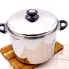 Coupon 🛒 Lynns Saturn 300F Stockpot 12qt 🎁